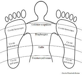 LA REFLEXOLOGIE PLANTAIRE - Centerblog